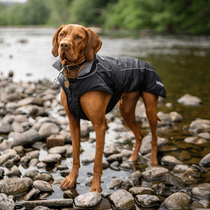 Fleece-Lined Dog Robe Robes Wave Sups